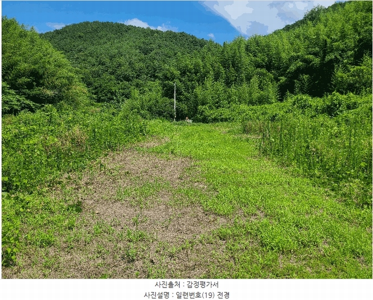 2025타경263 경상남도 의령군 지정면 득소리 606 농지 경매 이미지