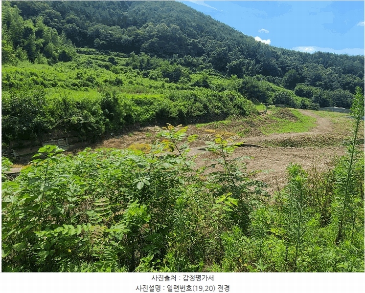 2025타경263 경상남도 의령군 지정면 득소리 606 농지 경매 이미지