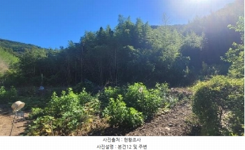 2025타경263 경상남도 의령군 지정면 득소리 77 대지 경매 이미지