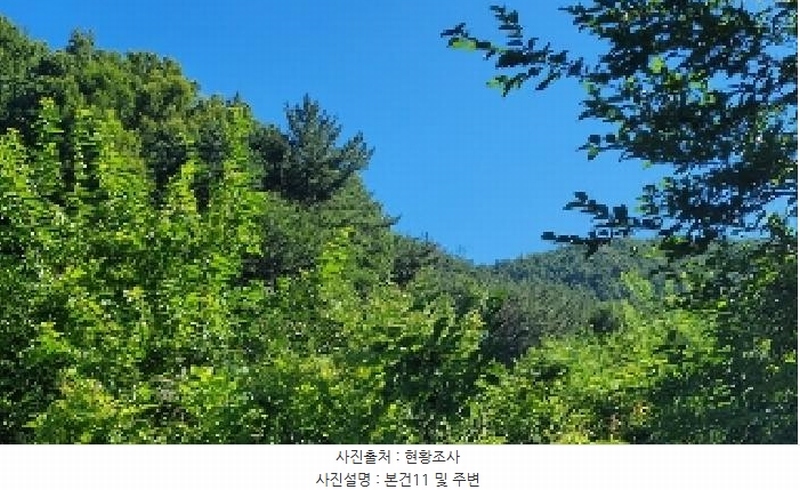 2025타경263 경상남도 의령군 지정면 득소리 645 농지 경매 이미지