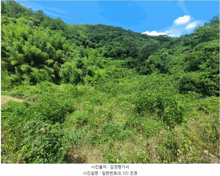 2025타경263 경상남도 의령군 지정면 득소리 640 농지 경매 이미지
