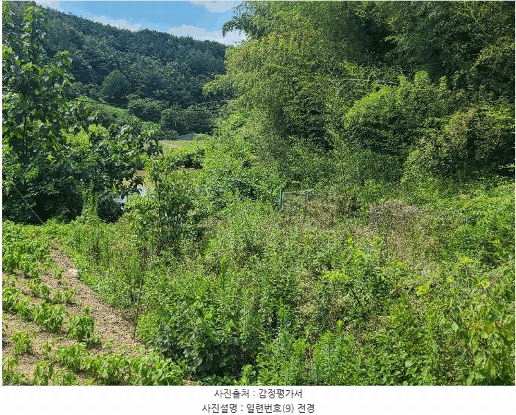 2025타경263 경상남도 의령군 지정면 득소리 636 농지 경매 이미지