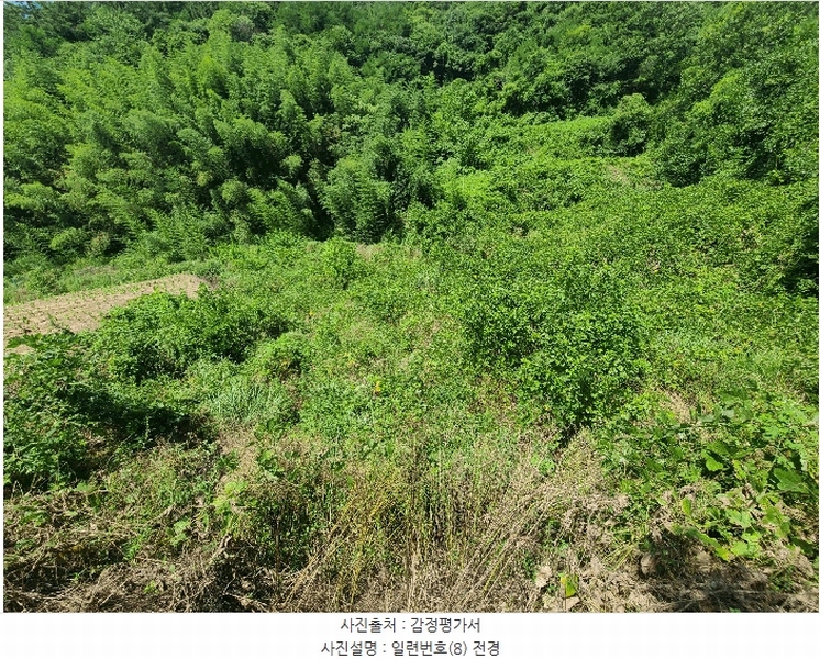2025타경263 경상남도 의령군 지정면 득소리 634 농지 경매 이미지