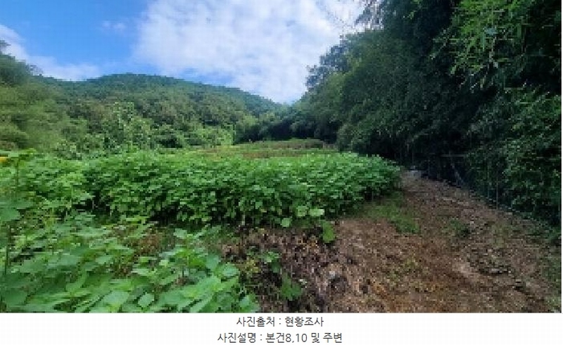 2025타경263 경상남도 의령군 지정면 득소리 634 농지 경매 이미지