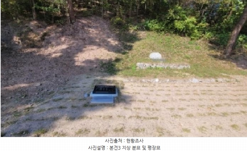 2025타경20908 경상남도 의령군 지정면 득소리 산228-1 임야 경매 이미지