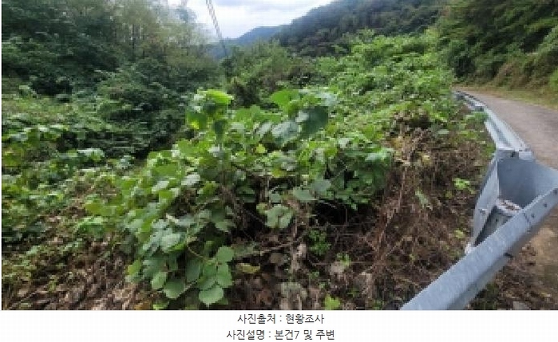 2025타경20908 경상남도 의령군 지정면 득소리 산228-1 임야 경매 이미지