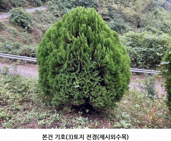 2025타경20908 경상남도 의령군 지정면 득소리 산228-1 임야 경매 이미지