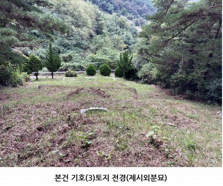 2025타경20908 경상남도 의령군 지정면 득소리 산228-1 임야 경매 이미지