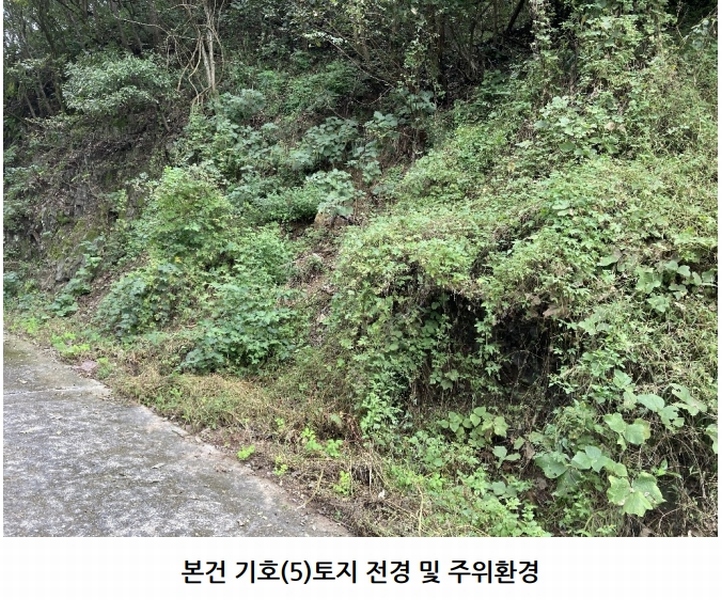 2025타경20908 경상남도 의령군 지정면 득소리 산228-1 임야 경매 이미지