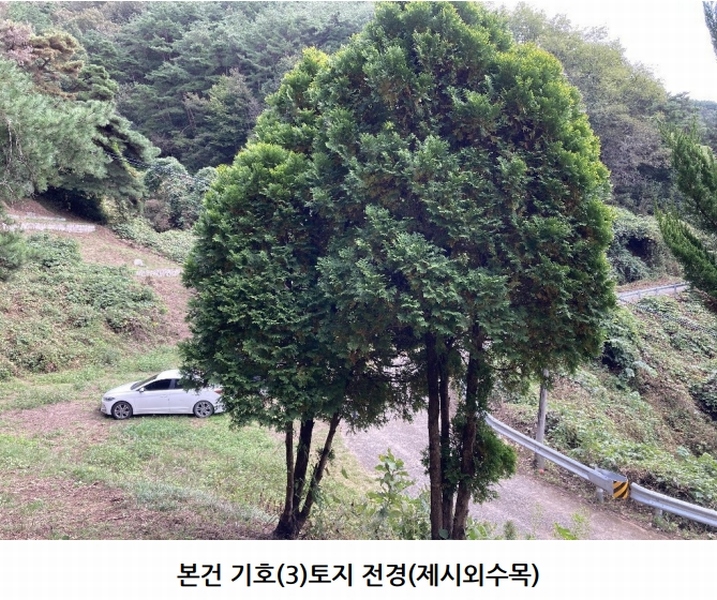 2025타경20908 경상남도 의령군 지정면 득소리 산228-1 임야 경매 이미지