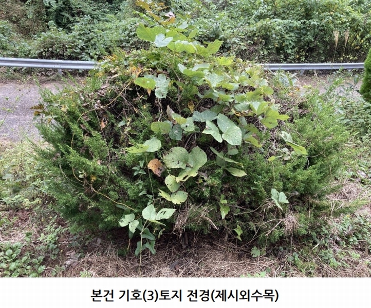 2025타경20908 경상남도 의령군 지정면 득소리 산228-1 임야 경매 이미지