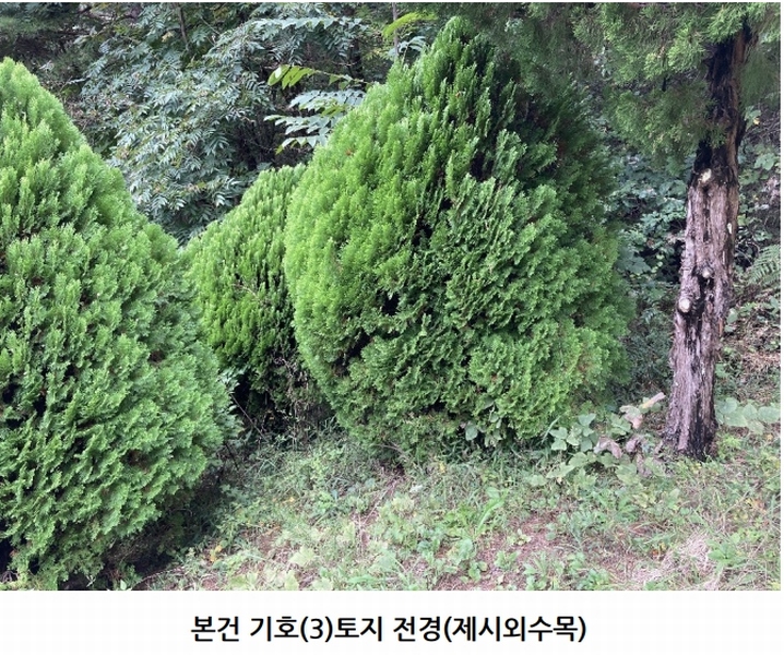 2025타경20908 경상남도 의령군 지정면 득소리 산228-1 임야 경매 이미지