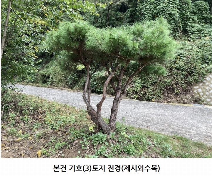 2025타경20908 경상남도 의령군 지정면 득소리 산228-1 임야 경매 이미지