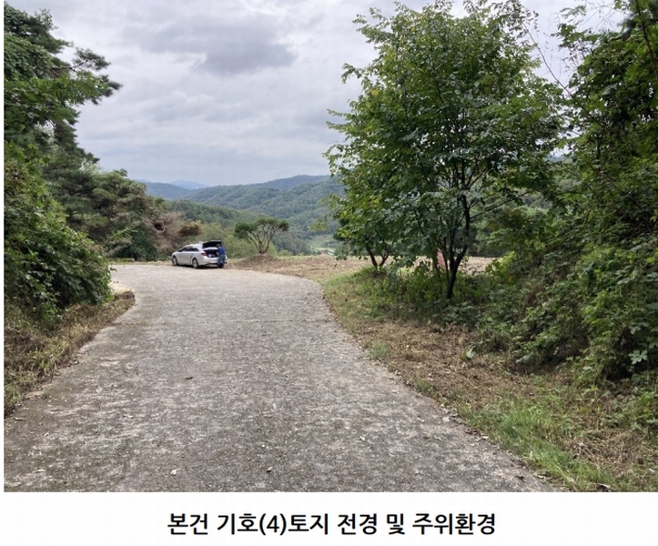2025타경20908 경상남도 의령군 지정면 득소리 산228-1 임야 경매 이미지