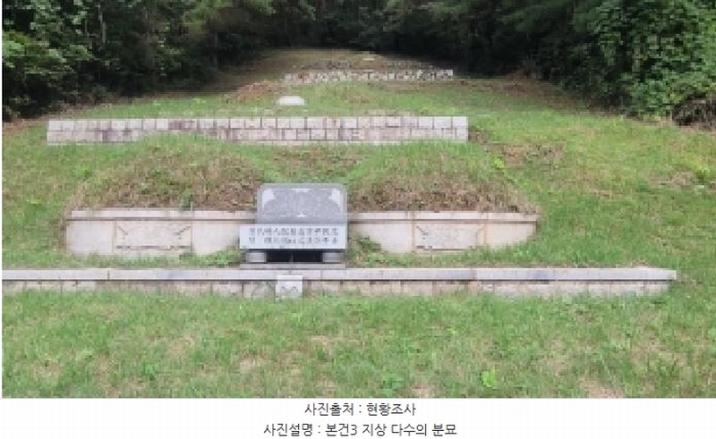 2025타경20908 경상남도 의령군 지정면 득소리 산228-1 임야 경매 이미지
