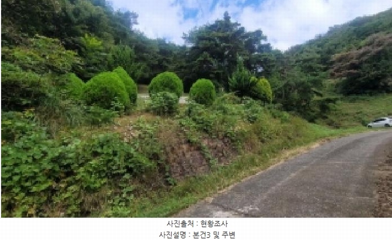 2025타경20908 경상남도 의령군 지정면 득소리 산228-1 임야 경매 이미지