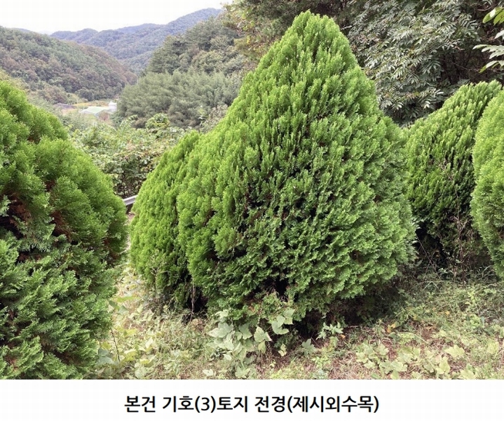 2025타경20908 경상남도 의령군 지정면 득소리 산228-1 임야 경매 이미지