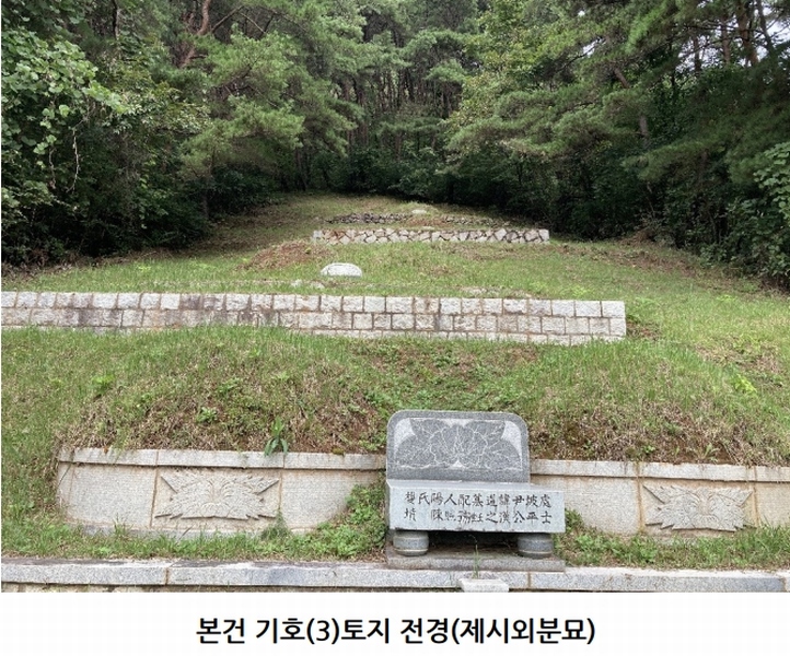 2025타경20908 경상남도 의령군 지정면 득소리 산228-1 임야 경매 이미지