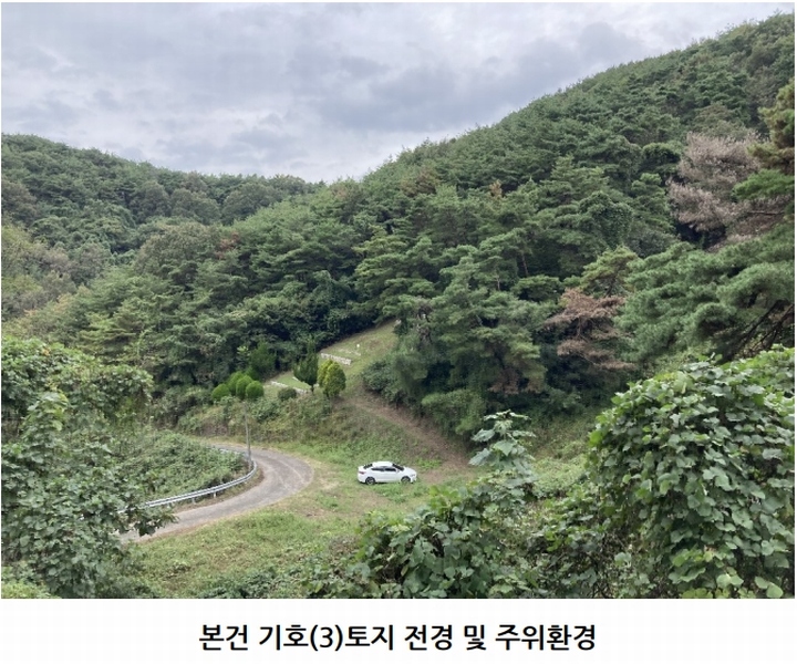2025타경20908 경상남도 의령군 지정면 득소리 산228-1 임야 경매 이미지