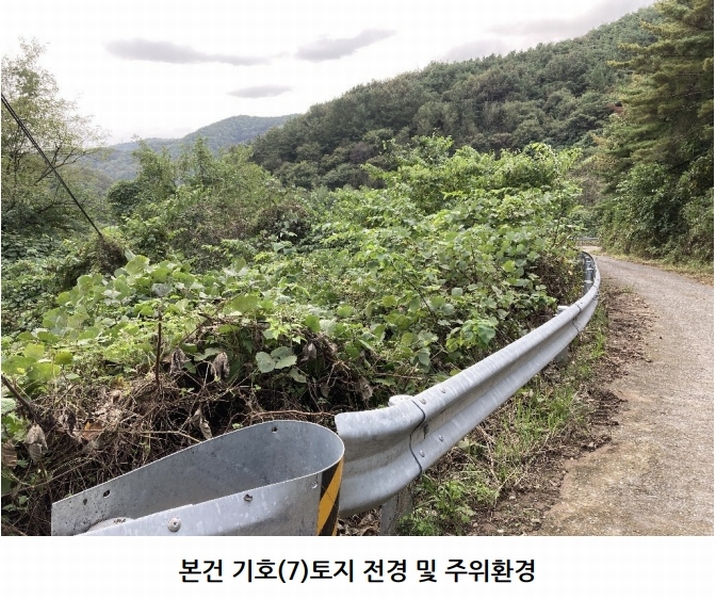 2025타경20908 경상남도 의령군 지정면 득소리 산228-1 임야 경매 이미지