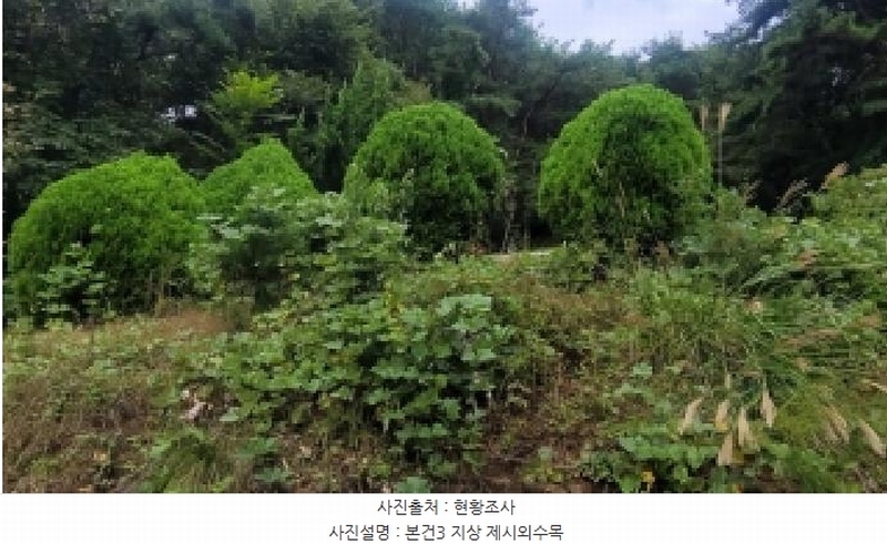 2025타경20908 경상남도 의령군 지정면 득소리 산228-1 임야 경매 이미지