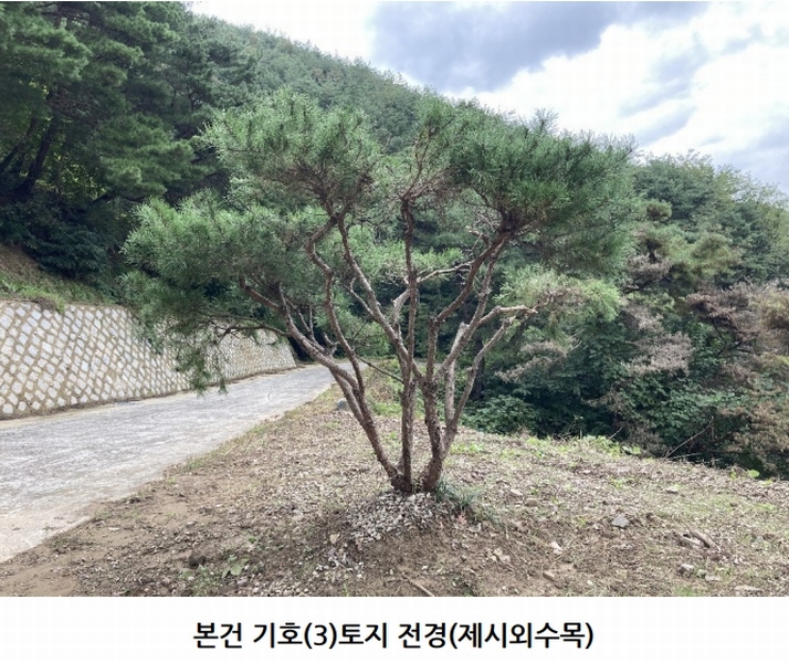 2025타경20908 경상남도 의령군 지정면 득소리 산228-1 임야 경매 이미지