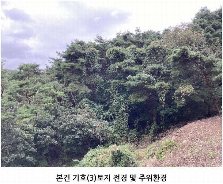 2025타경20908 경상남도 의령군 지정면 득소리 산228-1 임야 경매 이미지