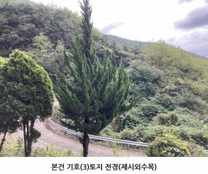 2025타경20908 경상남도 의령군 지정면 득소리 산228-1 임야 경매 이미지