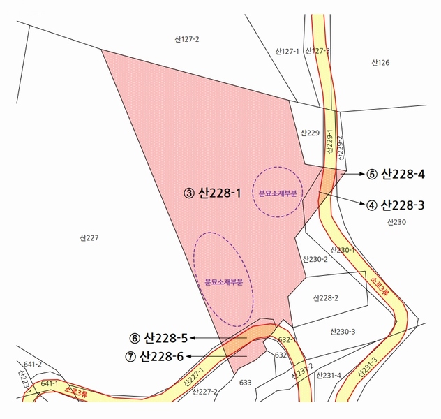 2025타경20908 경상남도 의령군 지정면 득소리 산228-1 임야 경매 이미지