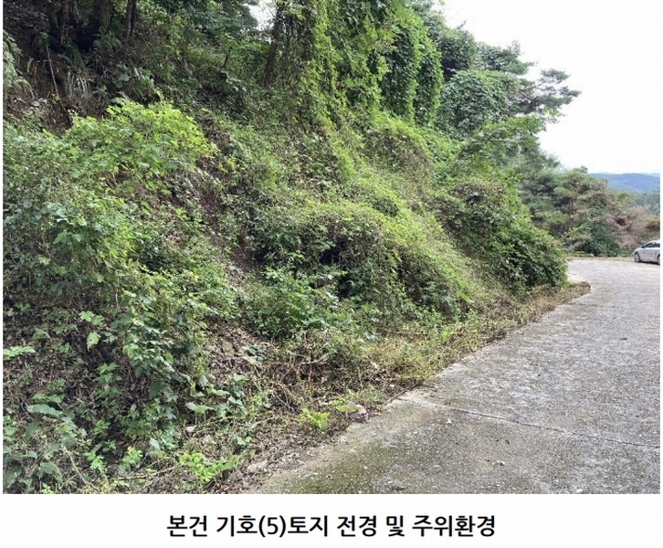 2025타경20908 경상남도 의령군 지정면 득소리 산228-1 임야 경매 이미지