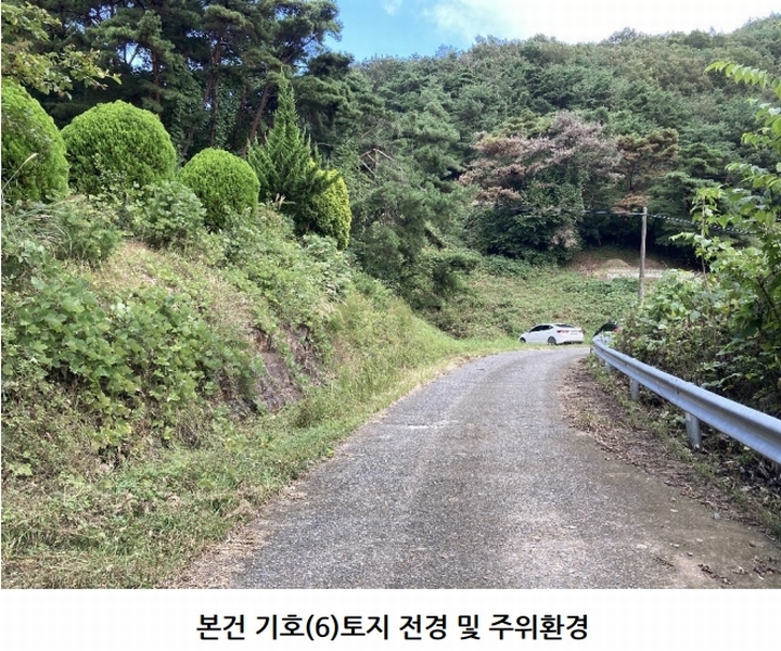 2025타경20908 경상남도 의령군 지정면 득소리 산228-1 임야 경매 이미지