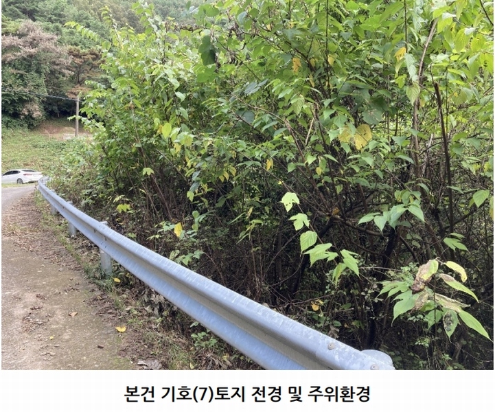2025타경20908 경상남도 의령군 지정면 득소리 산228-1 임야 경매 이미지