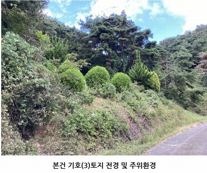 2025타경20908 경상남도 의령군 지정면 득소리 산228-1 임야 경매 이미지