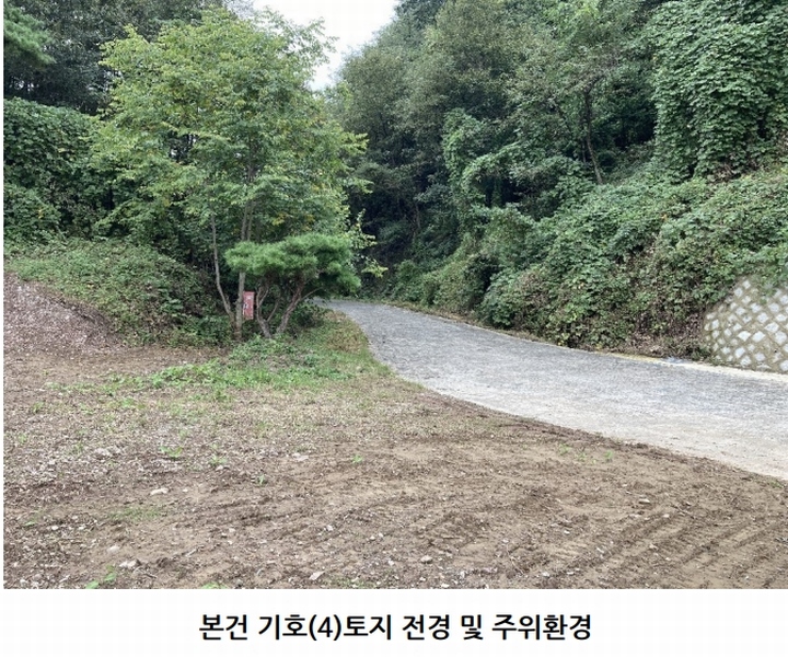 2025타경20908 경상남도 의령군 지정면 득소리 산228-1 임야 경매 이미지