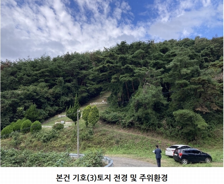 2025타경20908 경상남도 의령군 지정면 득소리 산228-1 임야 경매 이미지