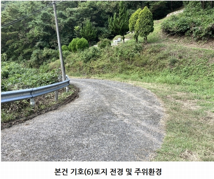 2025타경20908 경상남도 의령군 지정면 득소리 산228-1 임야 경매 이미지