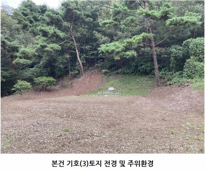 2025타경20908 경상남도 의령군 지정면 득소리 산228-1 임야 경매 이미지