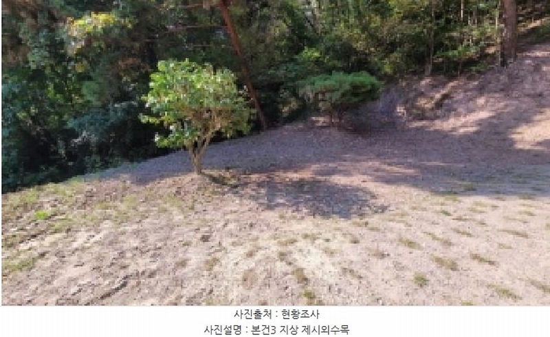 2025타경20908 경상남도 의령군 지정면 득소리 산228-1 임야 경매 이미지
