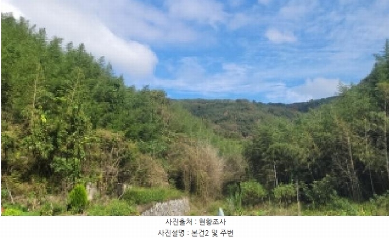 2025타경20908 경상남도 의령군 지정면 득소리 산47 임야 경매 이미지