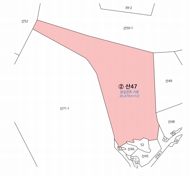 2025타경20908 경상남도 의령군 지정면 득소리 산47 임야 경매 이미지