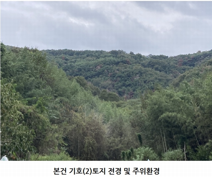2025타경20908 경상남도 의령군 지정면 득소리 산47 임야 경매 이미지