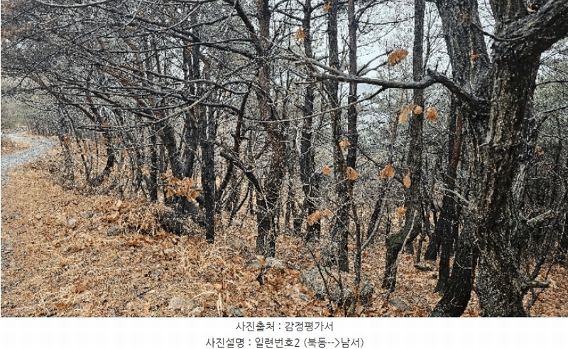 2025타경11339 울산광역시 북구 달천동 산166-3 임야 경매 이미지