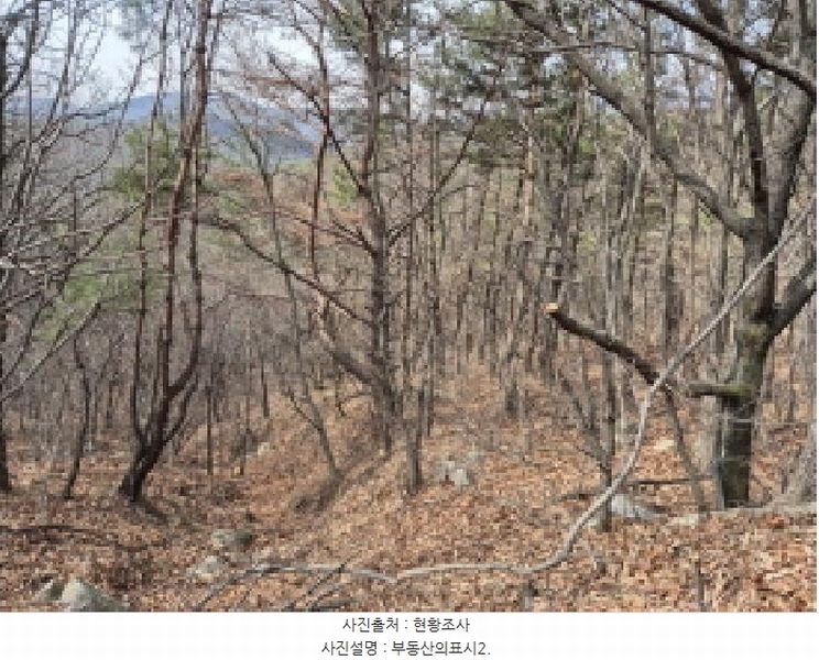 2025타경11339 울산광역시 북구 달천동 산166-3 임야 경매 이미지