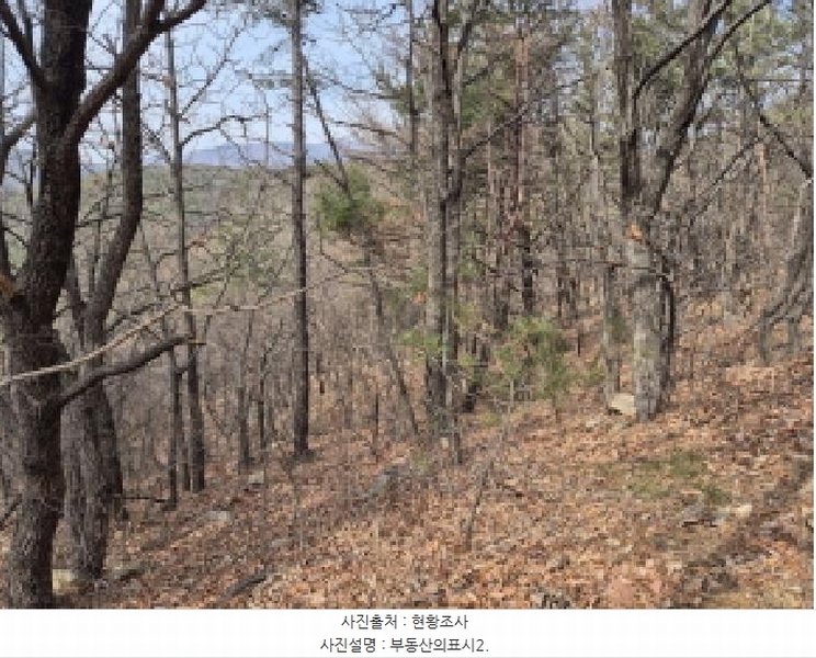 2025타경11339 울산광역시 북구 달천동 산166-3 임야 경매 이미지