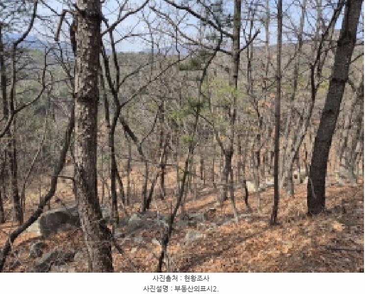 2025타경11339 울산광역시 북구 달천동 산166-3 임야 경매 이미지