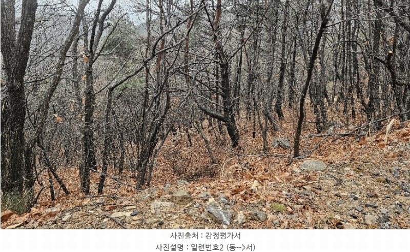 2025타경11339 울산광역시 북구 달천동 산166-3 임야 경매 이미지