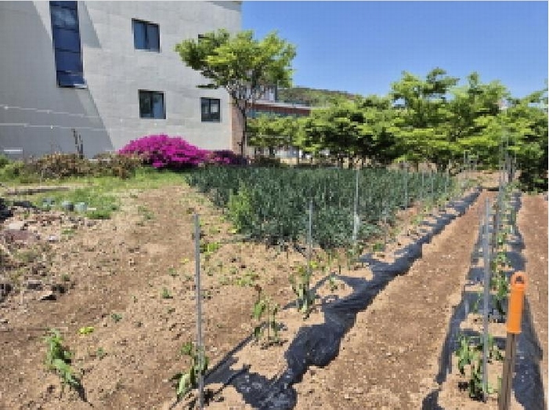 2025타경11649 울산광역시 북구 산하동 1016-37 대지 경매 이미지