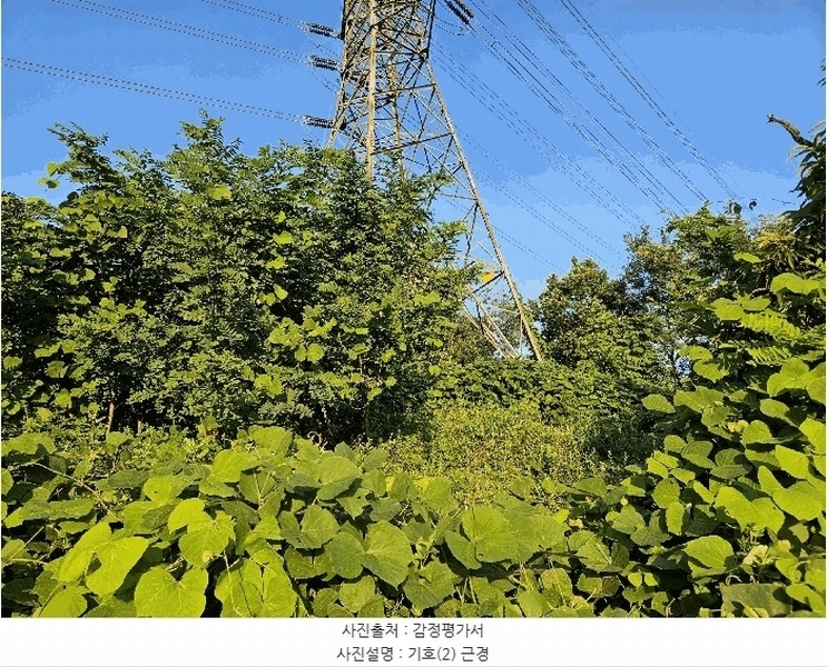 2025타경1277 경기도 의왕시 이동 산62-1 임야 경매 이미지
