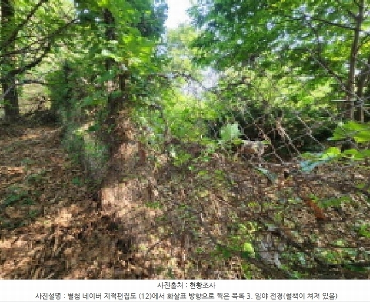2025타경1277 경기도 의왕시 이동 산62-1 임야 경매 이미지