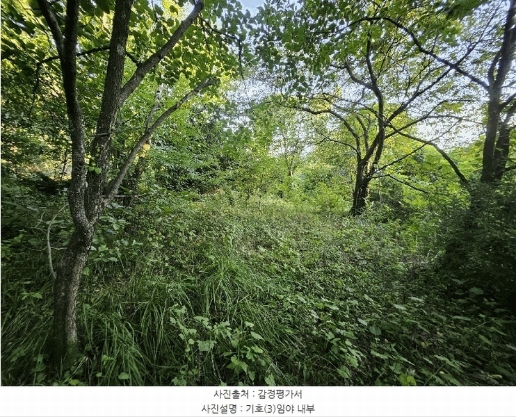 2025타경1277 경기도 의왕시 이동 산62-1 임야 경매 이미지